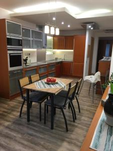 Kuchyňa alebo kuchynka v ubytovaní Apartmán v centru města