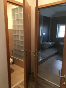 Kúpeľňa v ubytovaní Apartmán v centru města + 12 fotografií