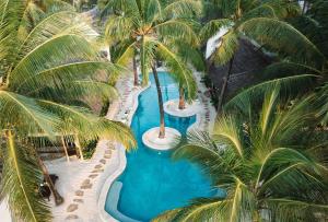 an aerial view of a resort pool with palm trees at Mala Boutique Hotel in Bwejuu