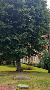 Zahrada ubytování Le Parc + 17 fotografií