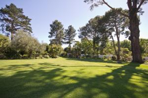 a large grass field with trees in the background at Plotsklaps Self Catering Cottage in Tokai