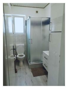 A bathroom at Holiday home in Balatonfenyves 27939 Még 27 kép
