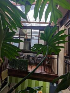 圣地亚哥阿蒂特兰Casa González的相册照片