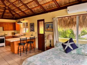 Kuchyň nebo kuchyňský kout v ubytování Cabo Pulmo Beach Resort