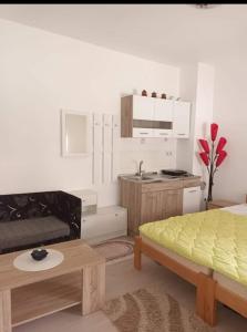 a living room with a bed and a kitchen at Apartman Djordjevic in Vranje