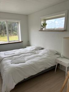 クリムトラにあるViking Surf Houseのギャラリーの写真