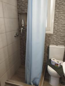 a small bathroom with a toilet and a shower at Aloe Apartments Syros in Lazaréta +29 photos