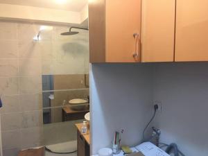 a bathroom with a shower and a toilet and a sink at Appartement en Rez de jardin climatisée 2 pièces-cuisine avec terrasse et jardin in Sainte-Foy-lès-Lyon +9 photos