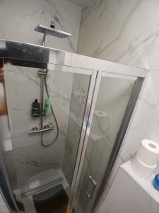 Koupelna v ubytování Apartament Euro Bytom
