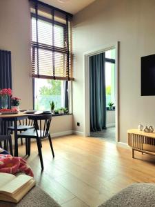 Μια τηλεόραση ή/και κέντρο ψυχαγωγίας στο Apartamenty K17 Stare Miasto +108 φωτογραφίες