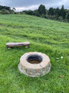 Um jardim em Eco Domo CWB