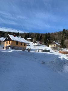 a house in the snow with a lot of snow at Apartment FOX in Kořenov