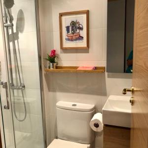 a bathroom with a shower and a toilet and a sink at Piso céntrico y luminoso in León +25 photos