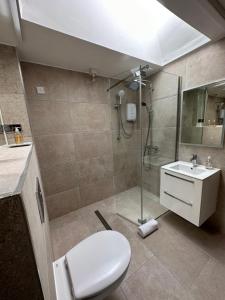a bathroom with a shower and a toilet and a sink at Cosy 2 Bedroom Cottage in Betws y Coed, Snowdonia in Betws-y-coed +22 photos
