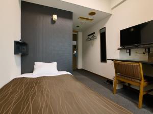TV a/nebo společenská místnost v ubytování Tabist Hotel Seishokan