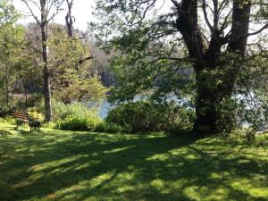 Gallery image of Casa Río Vivo in Valdivia