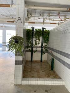 a room with plants on the walls of a building at Ubatuba - Recanto Praia das Toninhas in Ubatuba