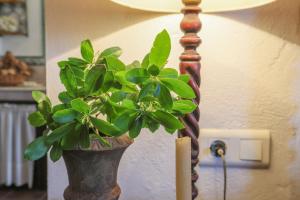 Φωτογραφία από το άλμπουμ του Finca Las Mesas, Cumbres Mayores σε La Estación