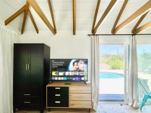 Μια τηλεόραση ή/και κέντρο ψυχαγωγίας στο Sunny Days Tiny House with private entrance, pool and view