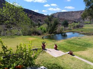 uno stagno in mezzo a un campo con piante in vaso di Diepkloof eco Guest Farm a Burgersdorp