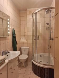 a bathroom with a shower and a toilet and a sink at Apartament Smile Stalowa Wola in Stalowa Wola