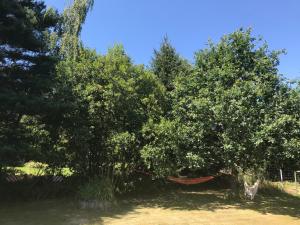Φωτογραφία από το άλμπουμ του Zielony Domek σε Chromiec