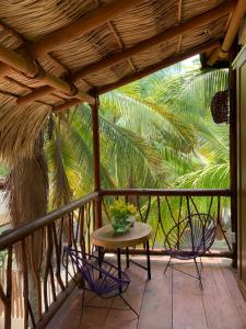 Κήπος έξω από το Casa San Carlos