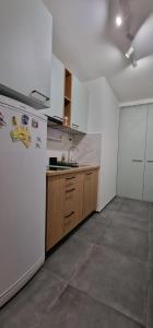 Kuchyň nebo kuchyňský kout v ubytování Sollemio