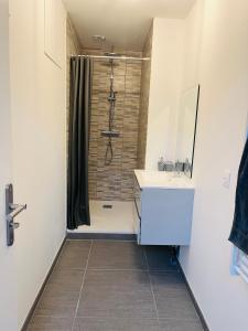 Un baño con ducha con lavabo y espejo. en Spa, en Marcheprime