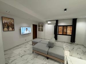 TV a/nebo společenská místnost v ubytování Loft Cosy Mermoz LPK0A Wifi HD