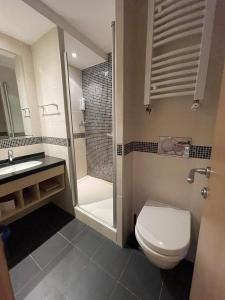a bathroom with a toilet and a shower and a sink at Konaci Andjela Apartmani broj 108 in Kopaonik