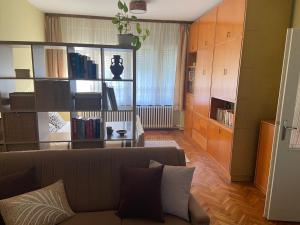 a living room with a couch and a book shelf at Peaceful home Suvacha in Kikinda