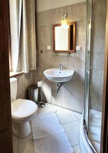 Afbeelding uit fotogalerij van Dom w Bieszczadach Villejka in Strzebowiska