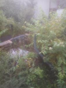 a garden with a hose in the grass at biofarma in Chrudim