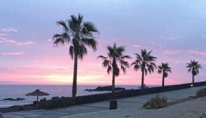 a group of palm trees on the beach at sunset at D'Sal y Arena in Breña Baja