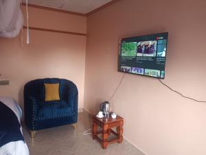 a bedroom with a blue chair and a tv on the wall at Emining Guest Suites in Kimoset
