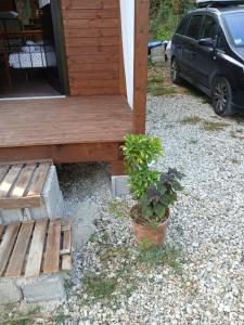 a bench and a potted plant in front of a house at Ullishte in Borsh