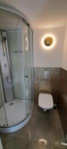 a bathroom with a glass shower and a toilet at All-in-One Apartment mit eigener Sonnenterrasse im Garten in Düsseldorf +24 photos