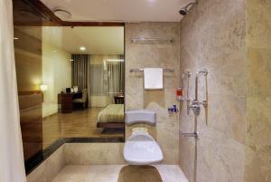 舍地Temple Tree Hotel Shirdi的带马桶和浴缸的浴室