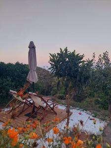 un parasol et des chaises sur une terrasse en bois avec des fleurs dans l'établissement The Garden House, Sitia, à Siteía