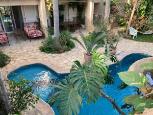 a pool in a yard with plants and a house at tropical oasis in Ouakam