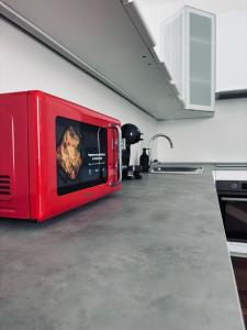 Dapur atau dapur kecil di Farini House - next to the academy of modena