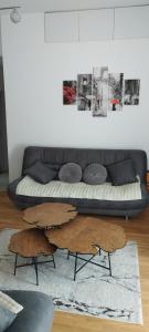 Posezení v ubytování apartman Elena