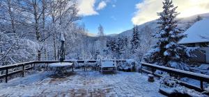 einen schneebedeckten Hof mit einem Tisch und einem Baum in der Unterkunft Wilcza Poręba Apartament in Karpacz