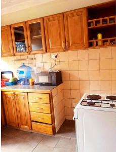 Kuchyň nebo kuchyňský kout v ubytování Artistic Home