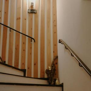 a staircase with a light on a wooden wall at Villa Regio Room in Vila do Conde