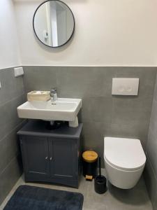a bathroom with a sink and a toilet and a mirror at 1 Zimmer Studio Apartment in Cologne