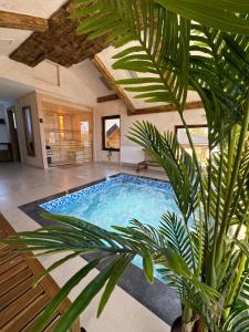 a swimming pool in a house with a palm tree at Zlatar Resort & SPA in Nova Varoš