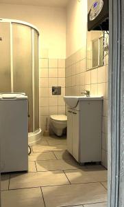 a bathroom with a sink and a toilet and a shower at Apartament 01 in Poznań