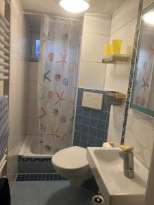 un bagno con wc, doccia e lavandino di fewoholz a Heppenheim